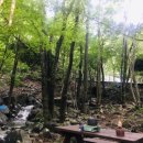 거제자연휴양림 이미지