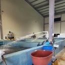 한림푸드 이미지