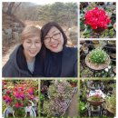 월광미용실 이미지
