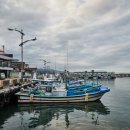 동해시-46 이미지