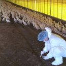 영암농장 이미지