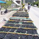 불이채민박 이미지