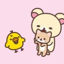 은비언니