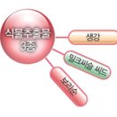 엘지에스