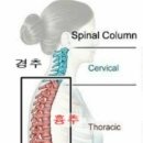 넘버원휘트니스 이미지