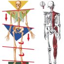 바디다룸 이미지