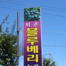 깨끗한농장 이미지