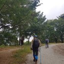 원주굽이길 3코스 회촌달맞이길 이미지