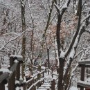 [근교산행]2011년 1월 9일 곰돌님 첫 산행리딩^^일요일 관악산 -신규횐님 및 왕초보가능! 이미지