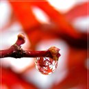 (주)이웃사람들 이미지