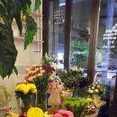 로이 힐링 이미지