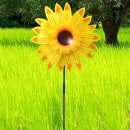 해바라기어린이집마당 이미지