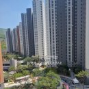 (공동)국제공인중개사사무소 이미지