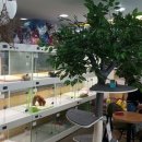 바둑아놀자 이미지