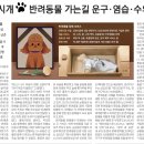 삼성전자(주)SAIT부속의원 | 경제뉴스 부동산뉴스 헤드라인뉴스 간추린뉴스 몰아보기 (2월 20일 화)