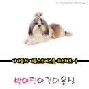 박여진애견미용실 이미지