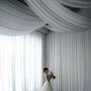 딘 스튜디오 이미지