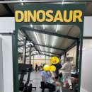 크로스핏 다이노소어 이미지