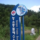 메트로펜션 이미지