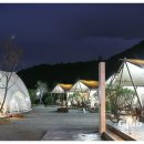 클럽프리모 이미지