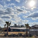 씨 스테이 이미지