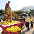 전남 축제해남미남 축제 11월 가볼만한곳 대흥사 단풍 이미지