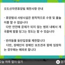 국내 여름휴가지 합천 오도산자연휴양림 계곡 추천
