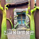 진해목재박물관 진해 드림파크 진해목재체험관 아이와 비오는날 방문 후기