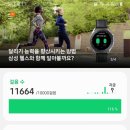 둔산 선사유적지 이미지