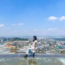 크레이지카케어 | 나트랑 달랏 이동 가볼만한곳 추천 일일투어 진행 만족했던 후기