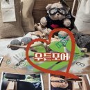 더모어 | 더현대서울 여의도 비클린 우든모어 팝업스토어 후기