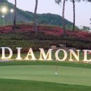 사파동430 이미지