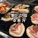 추돈가마곡 | 발산 고기집 건조숙성 제주 흑돼지 추돈가 특수부위 솔직후기