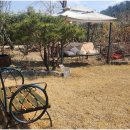 토브하르 이미지