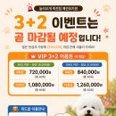 놀러오개 - 안양시 만안구 경수대로 1234 | 놀러오개