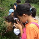 서상초교 이미지