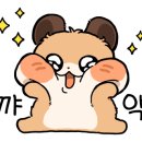 파스쿠찌판교대장점