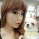 강아지랑나랑 이미지