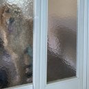 찰리팜하우스 이미지