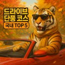 치악산주유소 | 드라이브 단풍 코스 | 국내 TOP 5·시기별·촬영 포인트 가이드