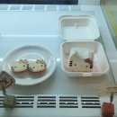 슈디케이크 | 합정 레터링 케이크 전문 대형 홍대 카페 해피베어...없이 곰돌이 산리오 귀여운 디저트 당일 픽업 후기