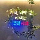건맥시대 이미지