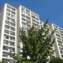 부인중학교 이미지