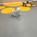 옐레드 문래역점 이미지