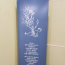 광명소하자라다남아미술학원 | 자라다남아미술연구소 광명 남아미술학원 샘플수업하고 등록~
