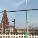 (주) 경주현대상용서비스 | [경주 여행 1박2일] 쫄보의 경주월드 생존기 | 한정식 식당 홍시, 현대밀면