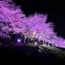 주식회사 덕신