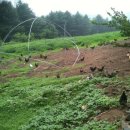 어울림농장 이미지