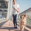 동인종합동물병원 이미지