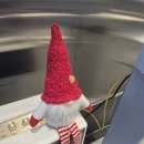 커스텀 샐러드 | 마곡 발산 샐러드 포케 맛집 커스텀샐러드 마곡점 후기